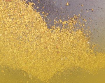 Gold Dust